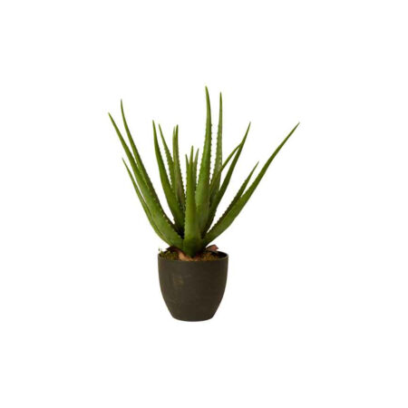 ALOE VERA PLANTE 58CM 42029-00 NATURAL
