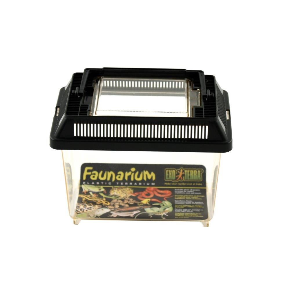 Akvarium/terrarium til planter+dyr -Mini Akvarium/terrarium til planter+dyr -Mini