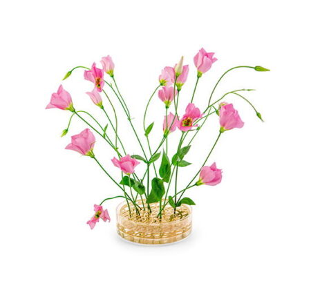 Äng Pond Vase Brass