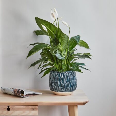 Arles Leaf Embossed Plant Pot Teal (Green)