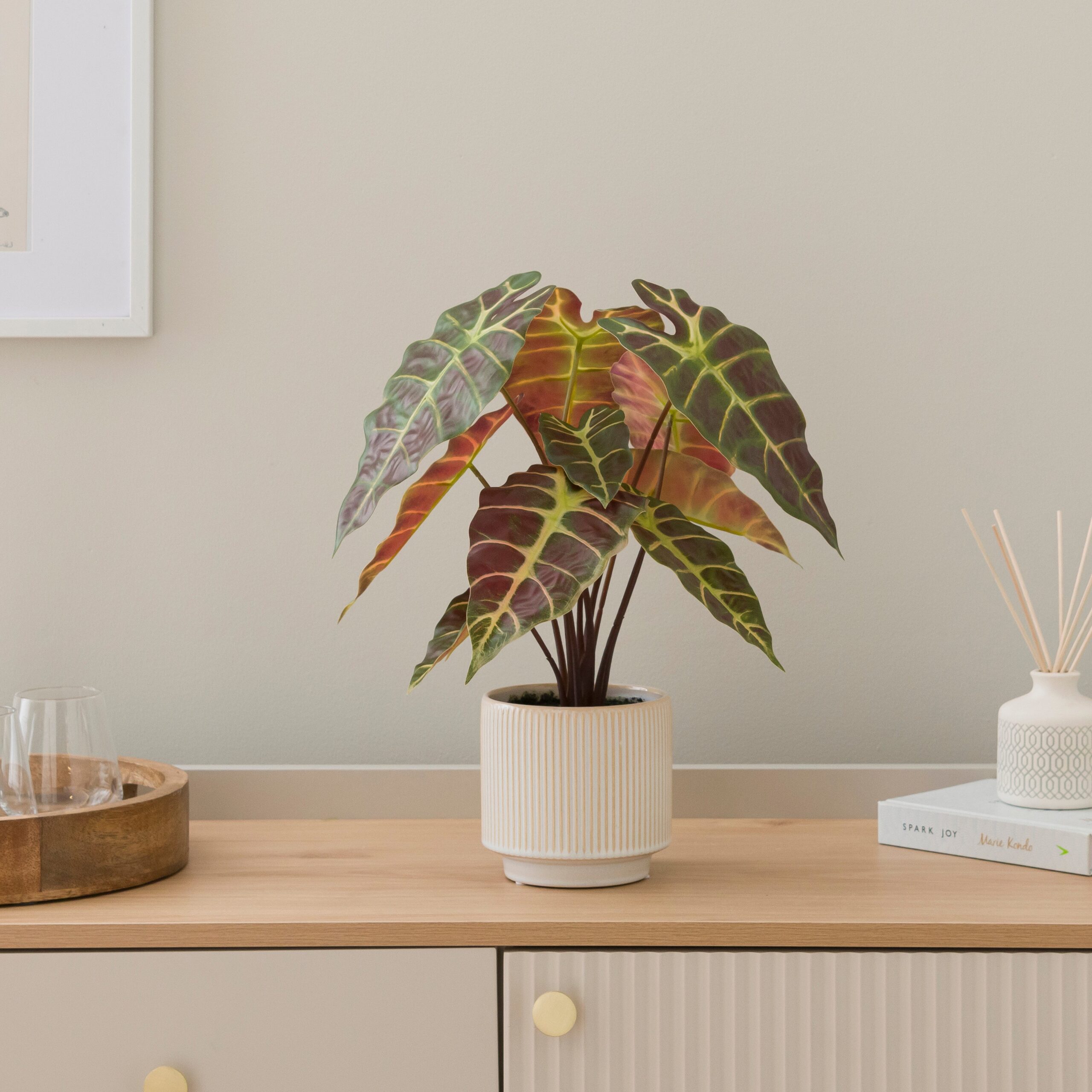 Artificial Alocasia in Ribbed Cream Ceramic Plant Pot Purple Artificial Alocasia in Ribbed Cream Ceramic Plant Pot Purple
