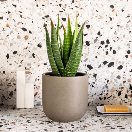 Artificial Aloe Vera Plant Green