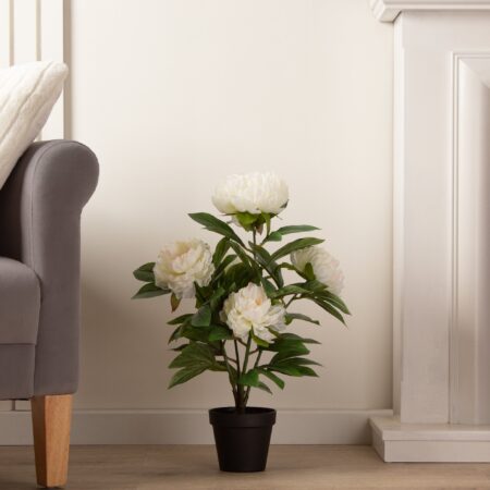 Artificial Cream Peony Plant in Black Plant Pot Cream