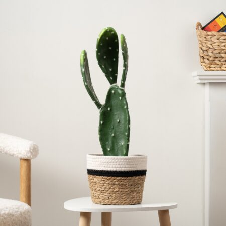 Artificial Prickly Pear in Black Plastic Plant Pot Green