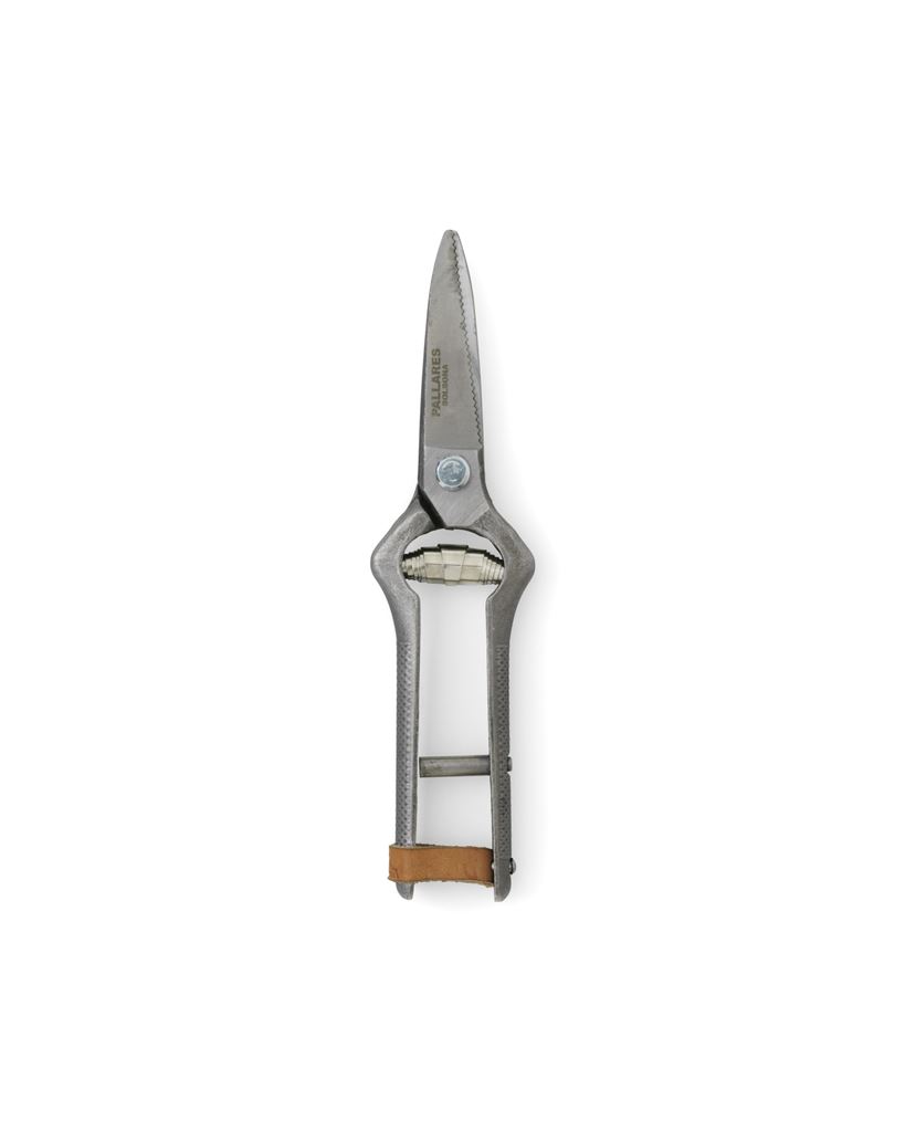 Audo Copenhagen Pallarés x Audo Copenhagen Plant Shears L: 20 cm - Steel Audo Copenhagen Pallarés x Audo Copenhagen Plant Shears L: 20 cm - Steel