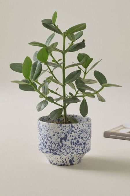 BELLADONNA potteskjuler diameter 21,5 cm Hvid/blå