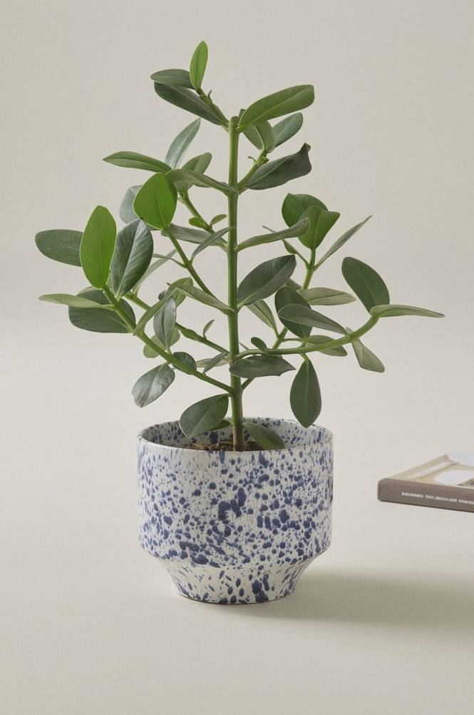 BELLADONNA potteskjuler diameter 21,5 cm Hvid/blå BELLADONNA potteskjuler diameter 21,5 cm Hvid/blå