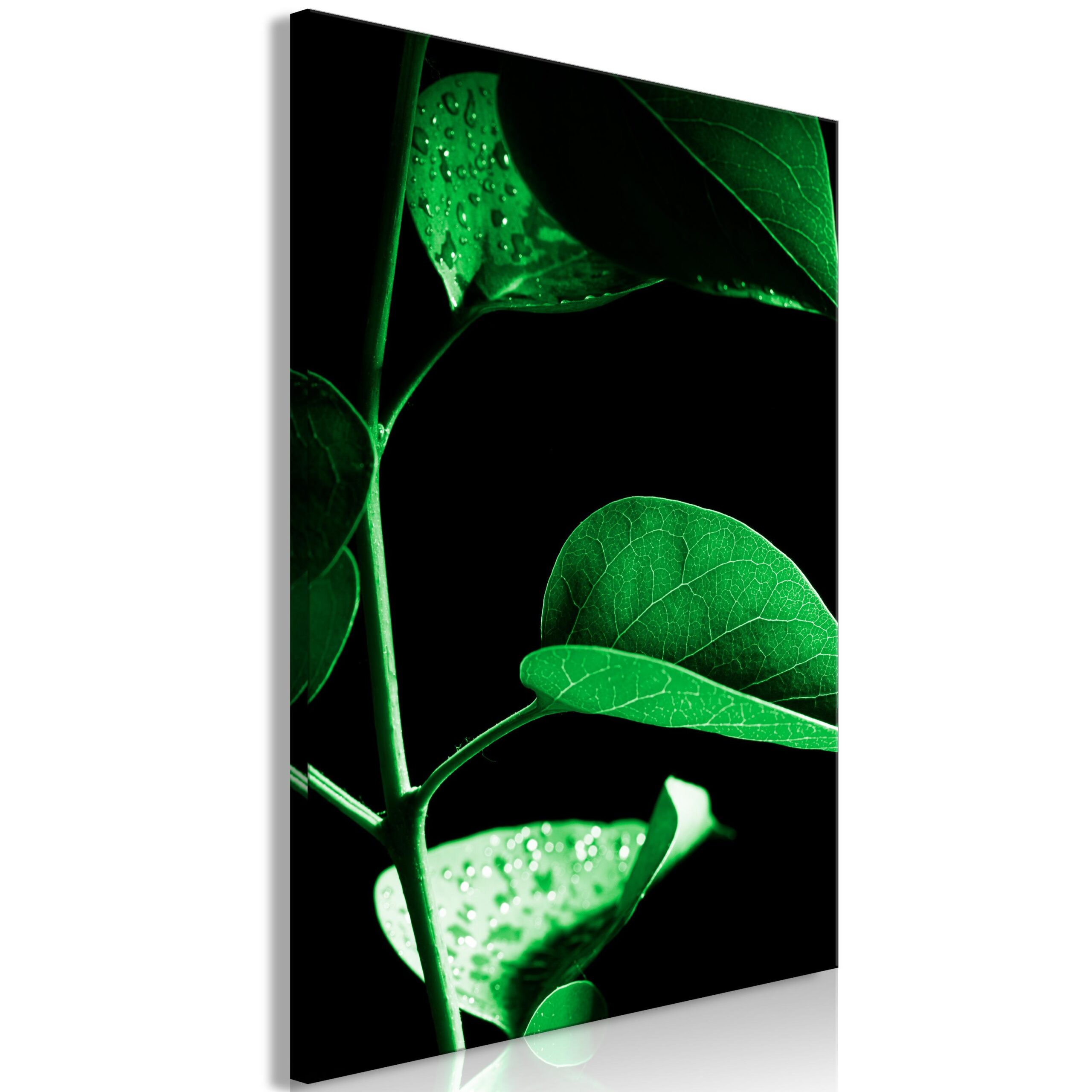 Billede - Plant in Black (1 Part) Vertical - 20 x 30 cm - På italiensk lærred Billede - Plant in Black (1 Part) Vertical - 20 x 30 cm - På italiensk lærred