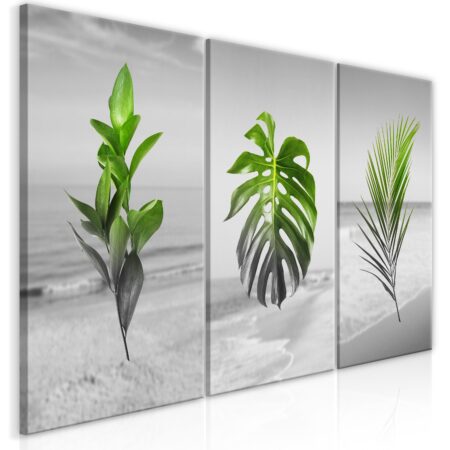 Billede - Plants (Collection) - 120 x 60 cm - Premium Print