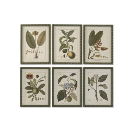 Billeder - Grøn Cottage botaniske planter, 30 × 40 cm (sæt af 6)