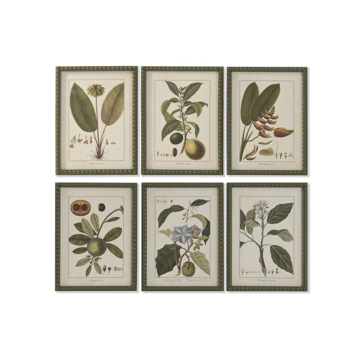 Billeder - Grøn Cottage botaniske planter, 30 × 40 cm (sæt af 6) Billeder - Grøn Cottage botaniske planter, 30 × 40 cm (sæt af 6)
