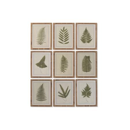Billeder botaniske planter 40 × 50 cm - sæt á 9