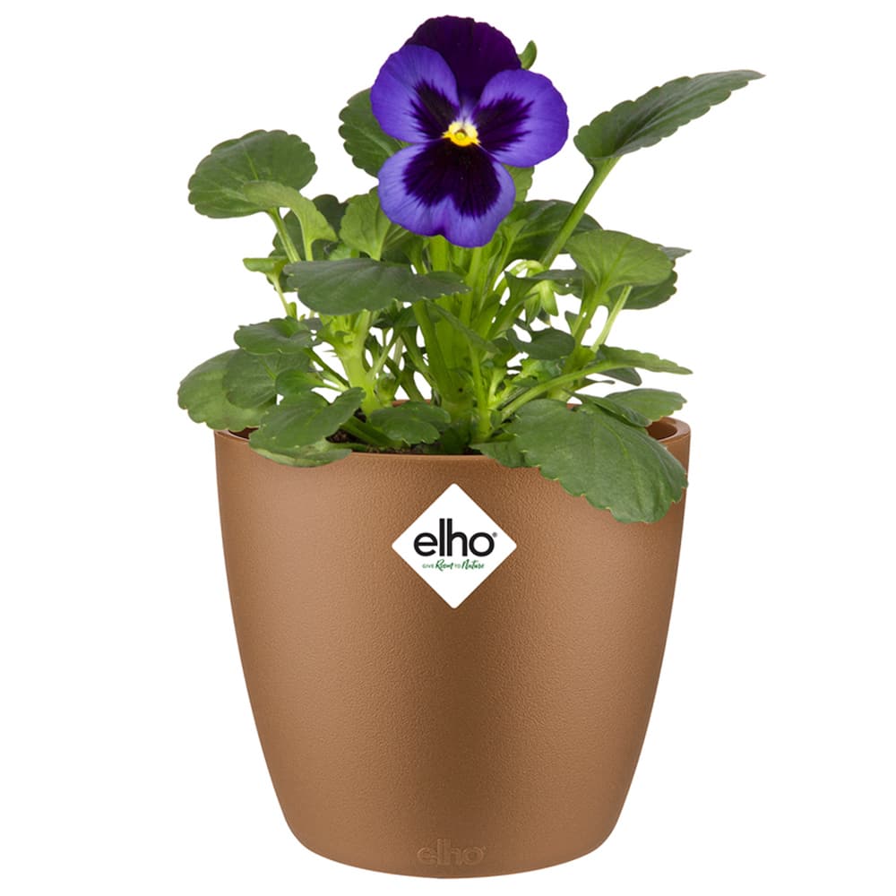 Blomsterkrukke Bruxelles Guld 11x10cm 0,8L Blomsterkrukke Bruxelles Guld 11x10cm 0,8L
