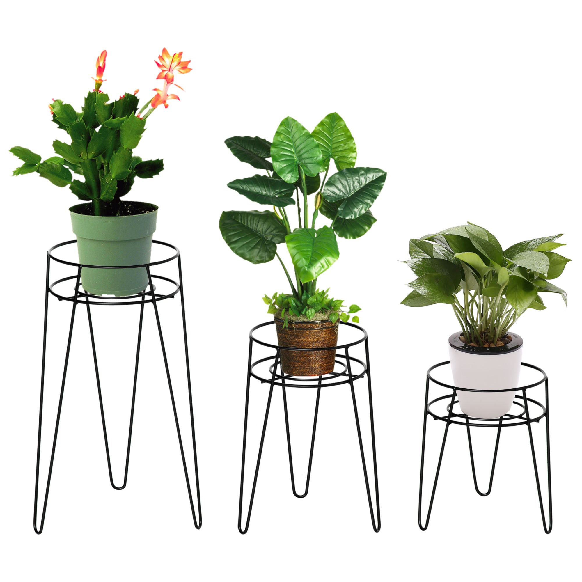 Blomsterstativ sæt med 3 metal plantestativ sæt blomsterskammel blomsterpotteholder planteskammel til blomsterpotter op til ø16 cm sort Blomsterstativ sæt med 3 metal plantestativ sæt blomsterskammel blomsterpotteholder planteskammel til blomsterpotter op til ø16 cm sort