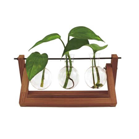 Blossom Hydro Vase - Natur/klar