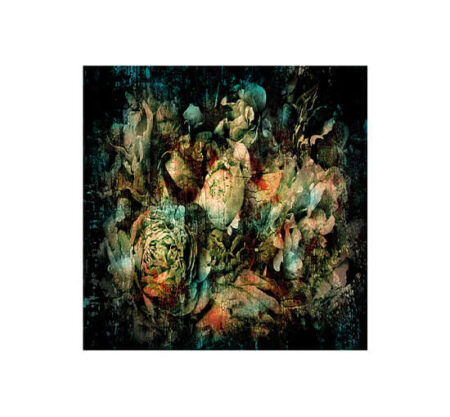 Botanical Abstract
