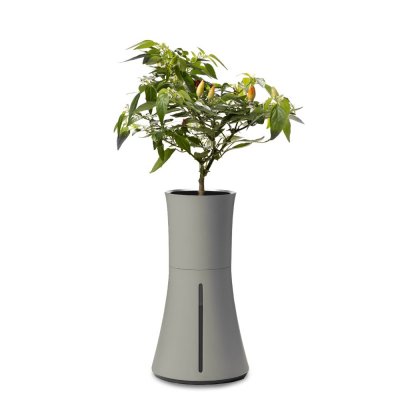 Botanium Självvattnande Kruka Askgrå