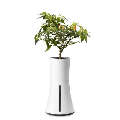 Botanium Självvattnande Kruka Vit