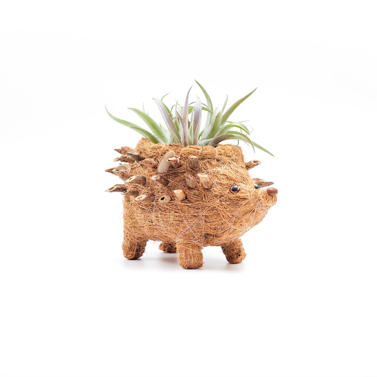 Brown Coco Coir Animal Planter Baby Hedgehog LIKHÂ Brown Coco Coir Animal Planter Baby Hedgehog LIKHÂ