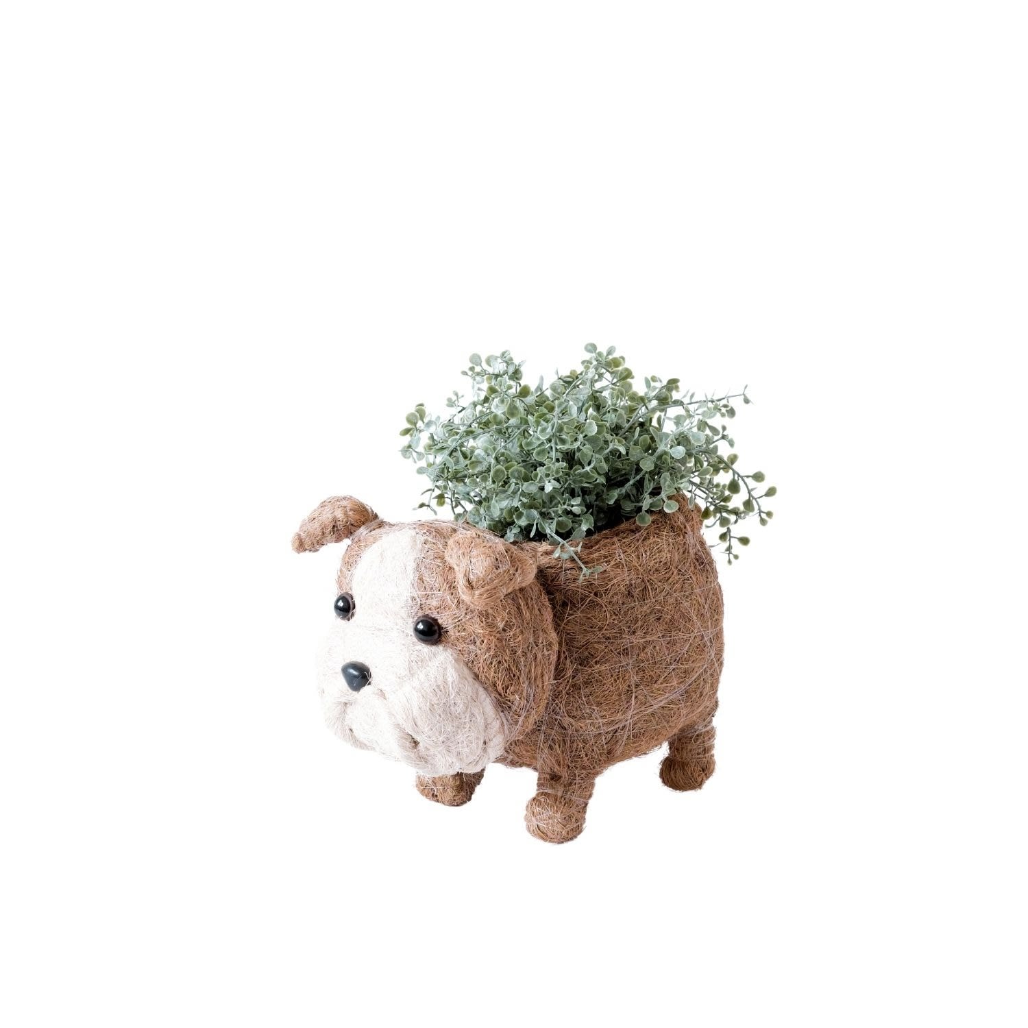Brown English Bulldog Planter - Coco Coir Pots Likhâ One Size LIKHÂ Brown English Bulldog Planter - Coco Coir Pots Likhâ One Size LIKHÂ