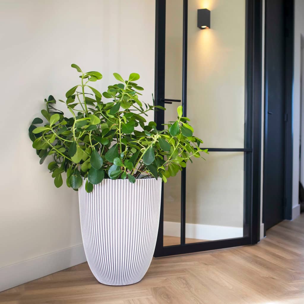 Capi elegant krukke Groove 46x58 cm elfenbensfarvet Capi elegant krukke Groove 46x58 cm elfenbensfarvet