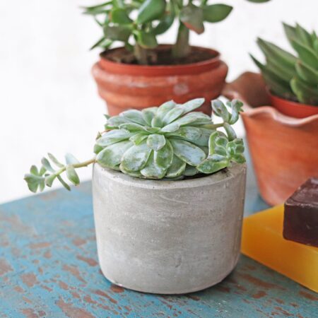 Cement Mini Planter