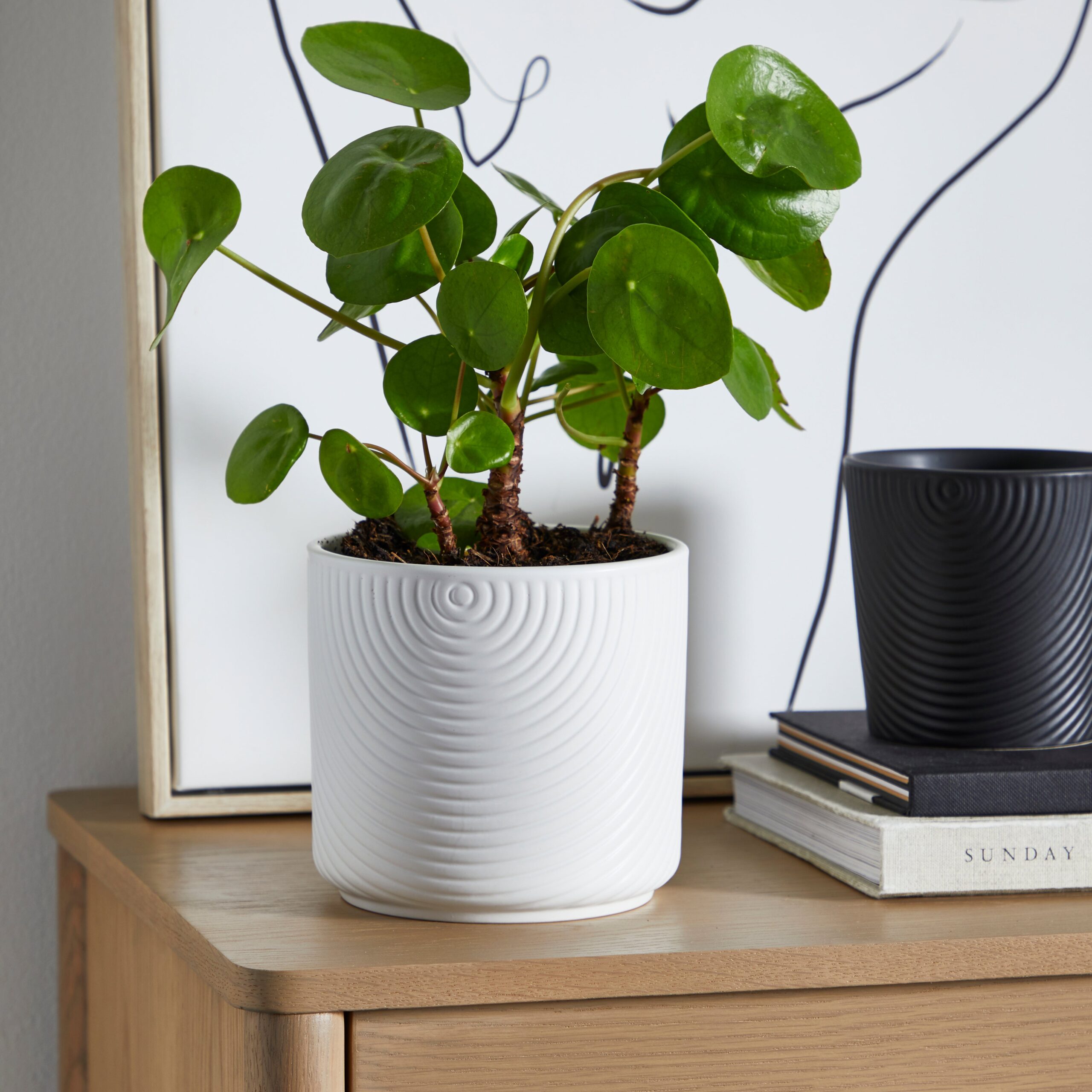 Ceramic Plant Pot Luxe White White Ceramic Plant Pot Luxe White White