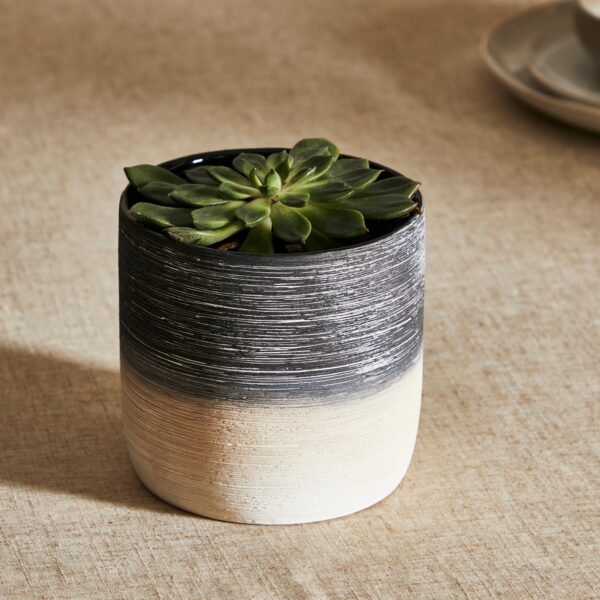 Ceramic Textured Mono Planter 13cm Black and white