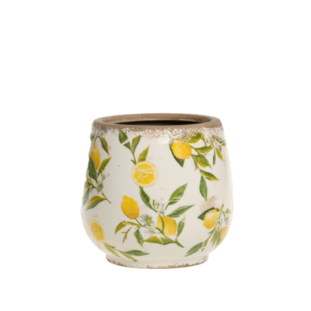 Chic Antique LIMONE krukke m. citroner lille