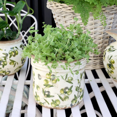 Chic Antique Olive Skjuler m. Olivenmønster