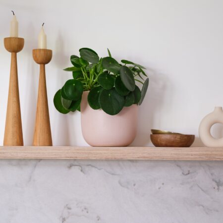 Chinese Money House Plant in Earthenware Pot Earthenware Pink