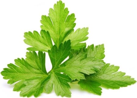 Click And Grow - Smart Garden Refill 3-pack - Cilantro/coriander (sgr45x3)
