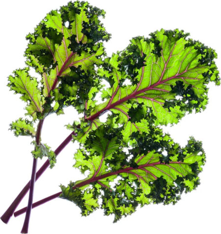 Click And Grow - Smart Garden Refill 3-pack - Red Kale (sgr47x3)