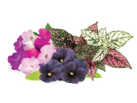 Click Grow Click and Grow Smart Garden Refill, pakke med 9 - en blanding af lyse blomster til velduftende indendørs dyrkning hele året rundt