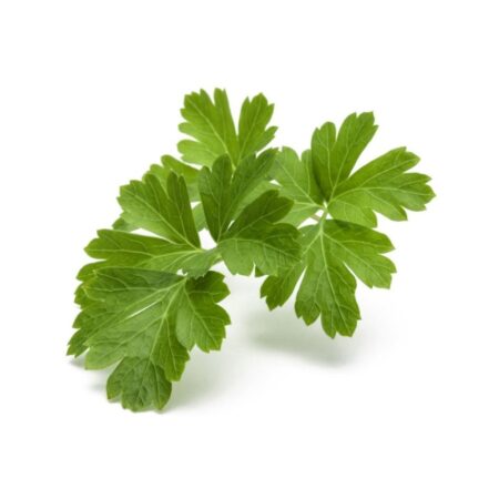 Click and Grow - Smart Garden Refill 3-pack - Parsley (SGR13X3)