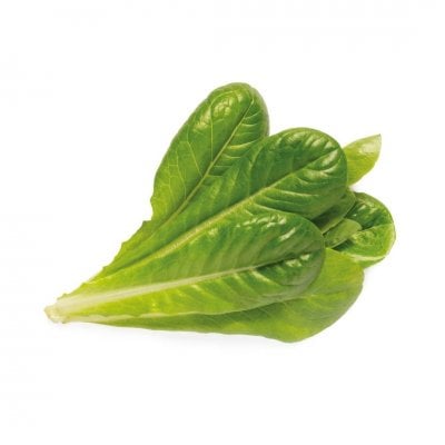 Click and Grow - Smart Garden Refill 3-pack - Romaine Lettuce (SGR50X3)