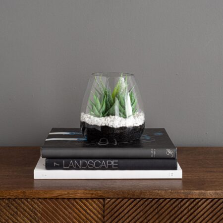 Coastal Artificial Succulents in Glass Vase Green
