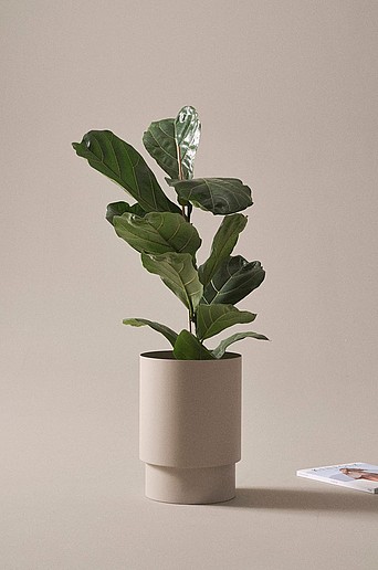 DESTINY krukke ⌀ 25 cm