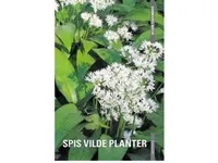 Danmarks natur - Spis vilde planter | Dorte Rhode Nissen Edith Agerbo