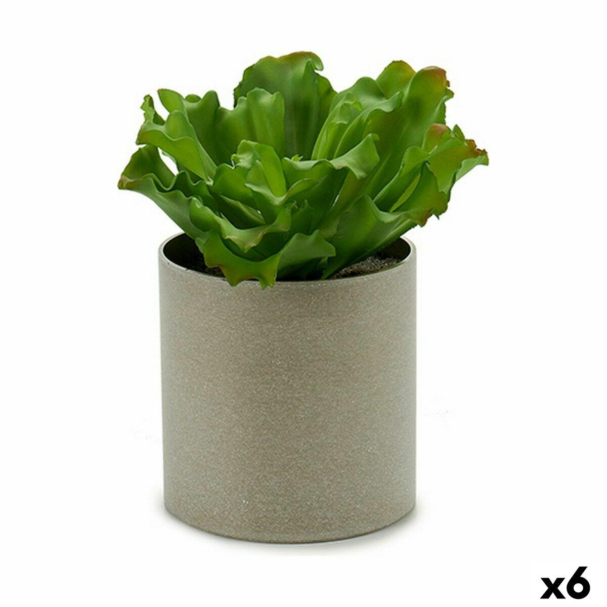 Dekorativ plante 20 x 25 x 20 cm (6 enheder) Dekorativ plante 20 x 25 x 20 cm (6 enheder)