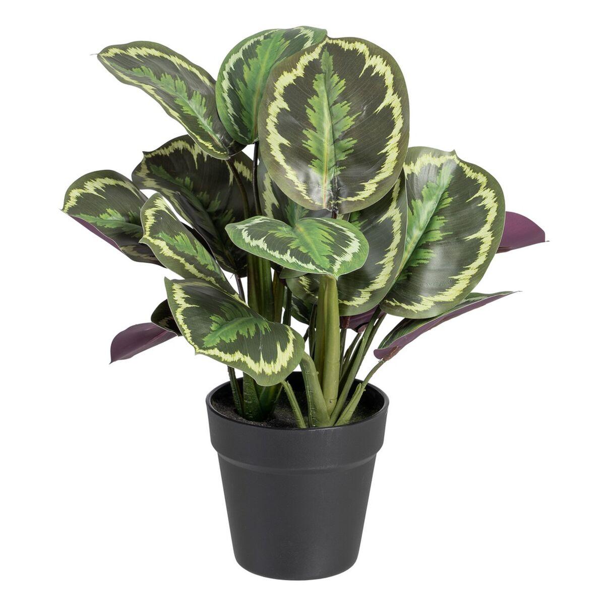 Dekorativ plante 37 x 37 x 41 cm Grøn PVC Dekorativ plante 37 x 37 x 41 cm Grøn PVC