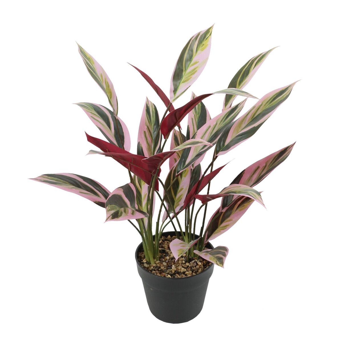 Dekorativ plante 43 x 40 x 55 cm Grøn Paradisets fugl Dekorativ plante 43 x 40 x 55 cm Grøn Paradisets fugl