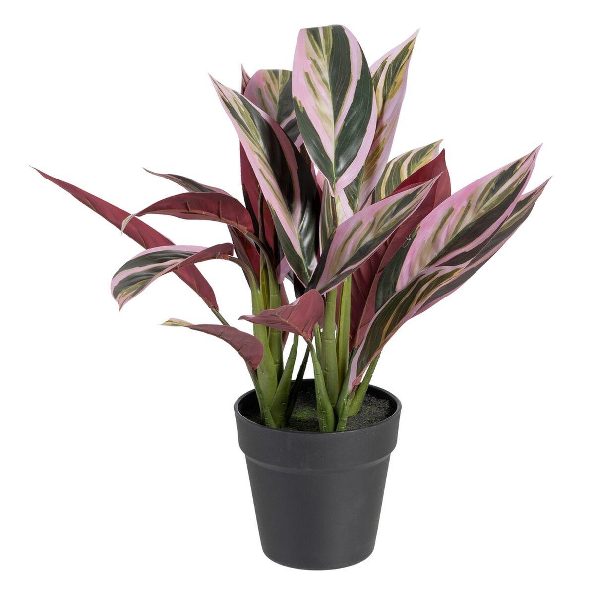 Dekorativ plante 44 x 39 x 48 cm Pink Grøn PVC Dekorativ plante 44 x 39 x 48 cm Pink Grøn PVC