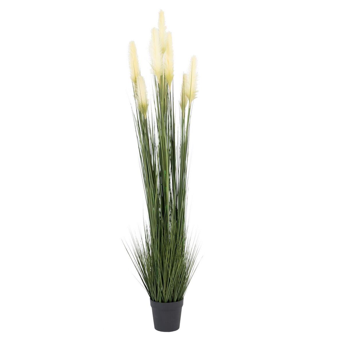 Dekorativ plante 44 x 48 x 200 cm Grøn Flødefarvet PVC Dekorativ plante 44 x 48 x 200 cm Grøn Flødefarvet PVC