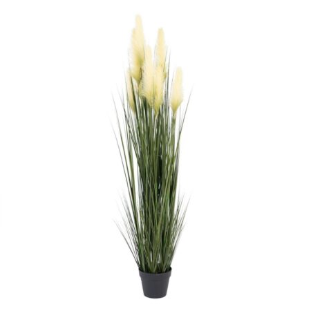 Dekorativ plante 57 x 53 x 150 cm Grøn Flødefarvet PVC