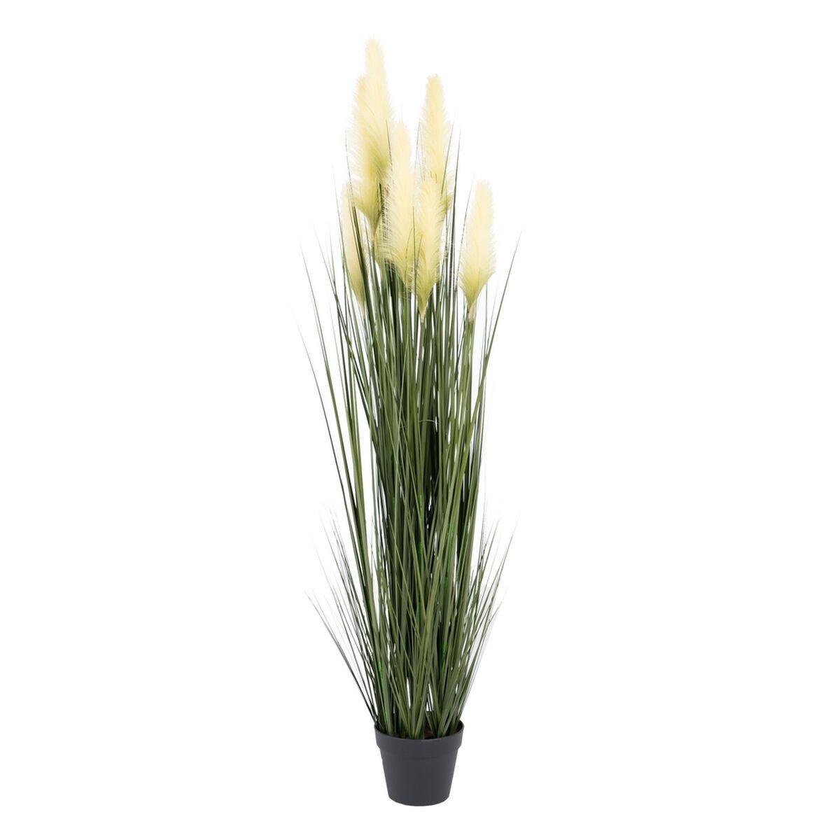 Dekorativ plante 57 x 53 x 150 cm Grøn Flødefarvet PVC Dekorativ plante 57 x 53 x 150 cm Grøn Flødefarvet PVC