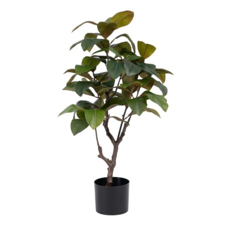 Dekorativ plante 67 x 62 x 100 cm Grøn Naturgummi PVC