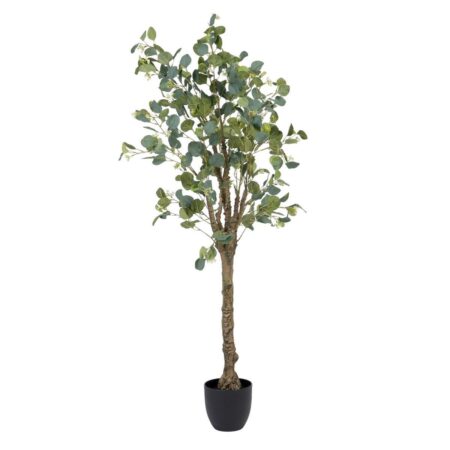 Dekorativ plante 78 x 68 x 150 cm Grøn PVC Eukalyptus
