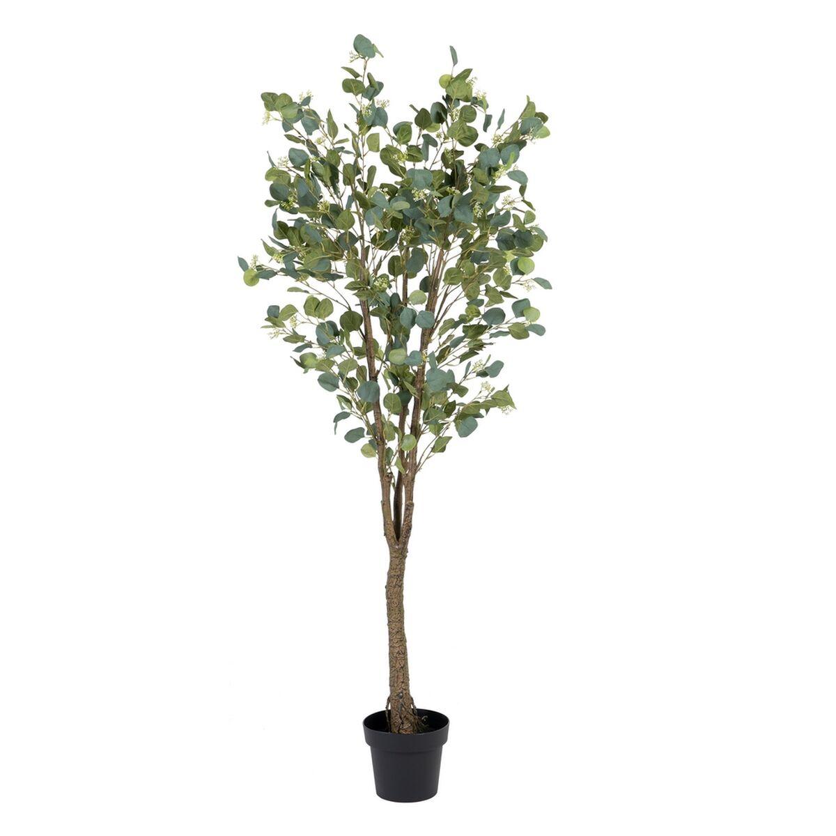 Dekorativ plante 80 x 75 x 173 cm Grøn PVC Eukalyptus Dekorativ plante 80 x 75 x 173 cm Grøn PVC Eukalyptus