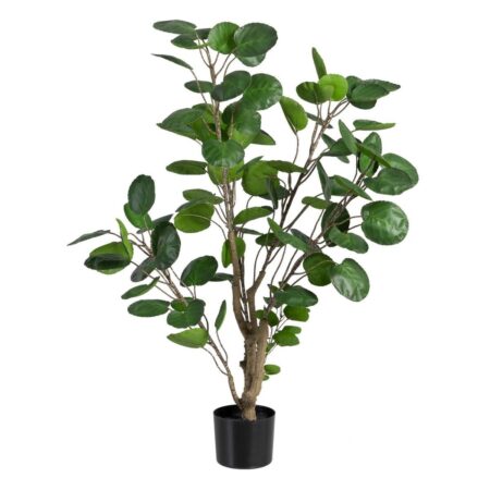 Dekorativ plante 80 x 77 x 113 cm Grøn PVC Aralia